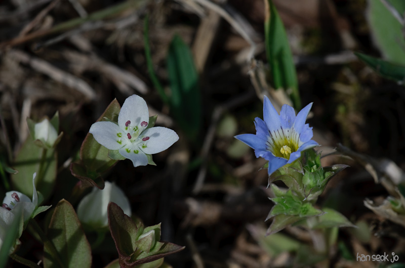 DSC_6027.jpg