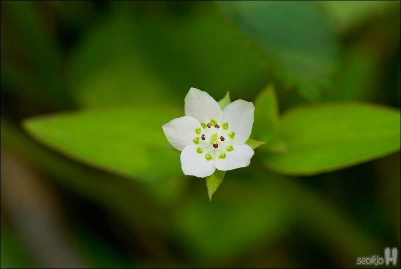 DSCF3624.jpg