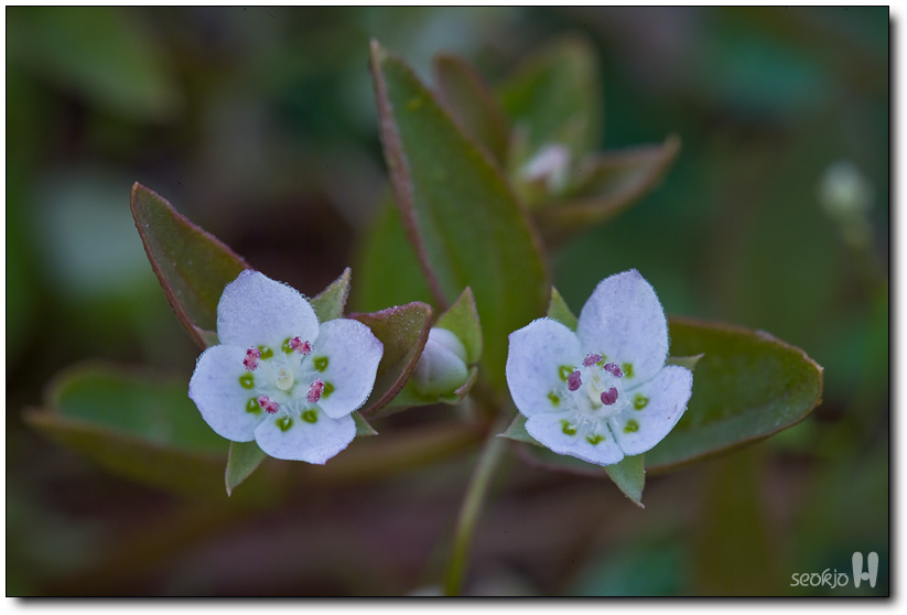 DSCF8070.jpg