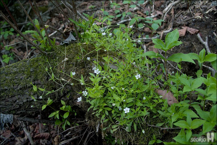 DSCF8760.jpg