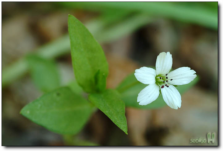 DSCF6605.jpg