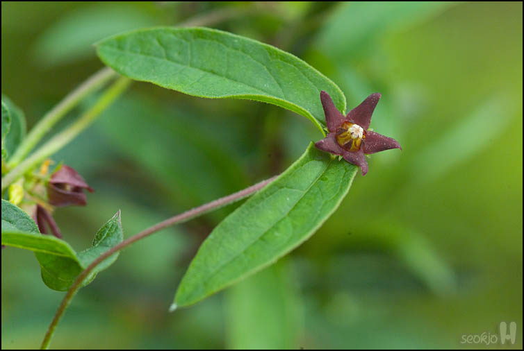 DSCF8848.jpg