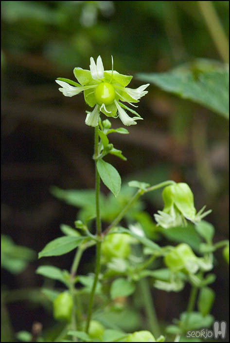 DSCF2091.jpg