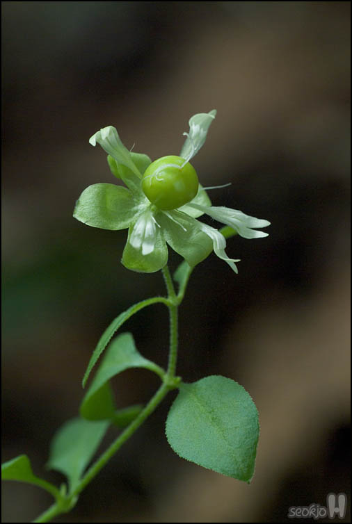 DSCF3385.jpg