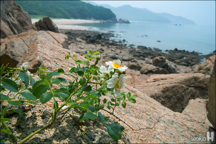 DSCF9717.jpg