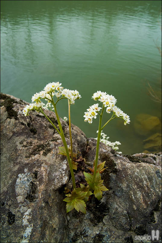 DSCF3289.jpg