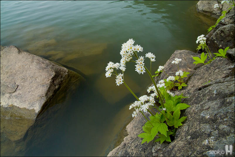 DSCF3292.jpg