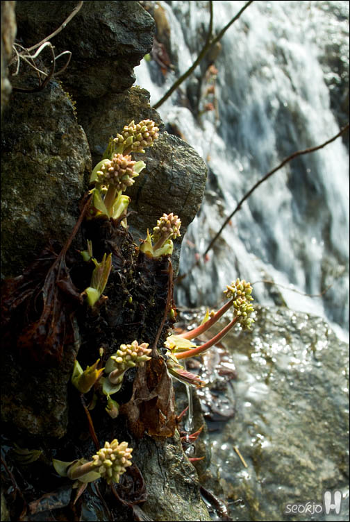 DSCF7019.jpg