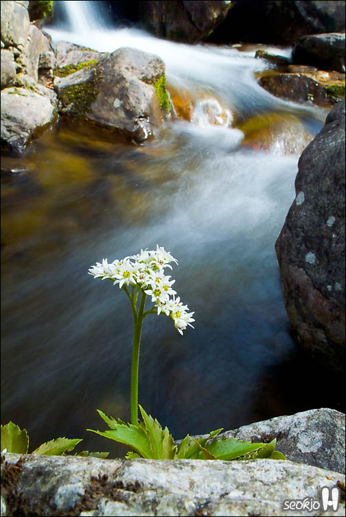 DSCF7256.jpg