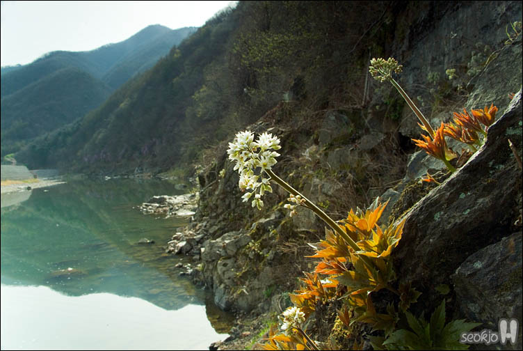 DSCF7190.jpg