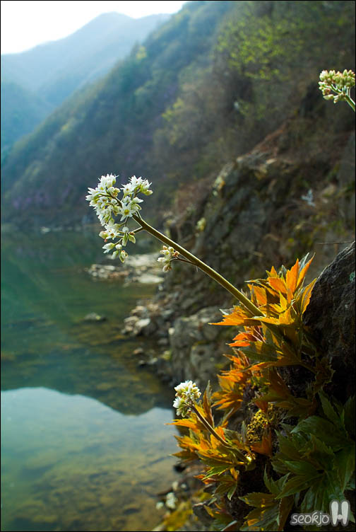 DSCF7199.jpg