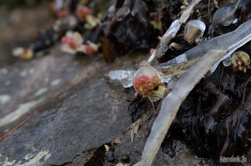 DSC_5357.jpg