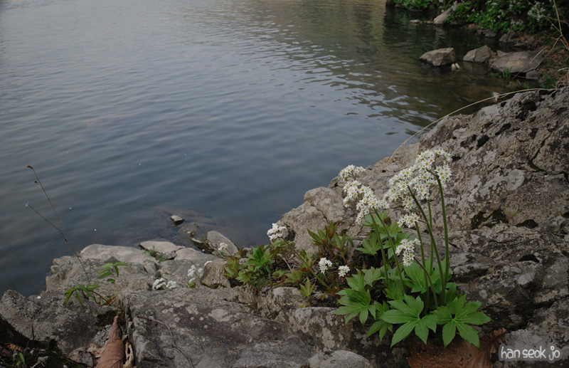 HSJ_3459.jpg