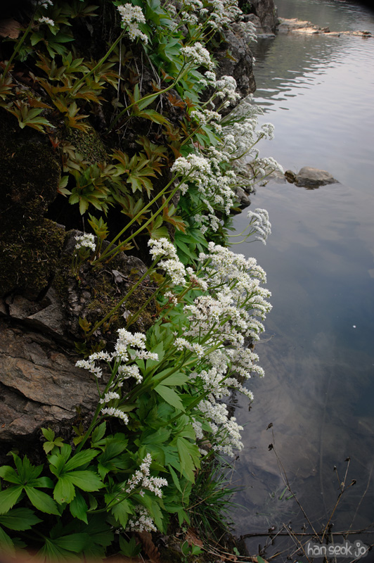 HSJ_3458.jpg