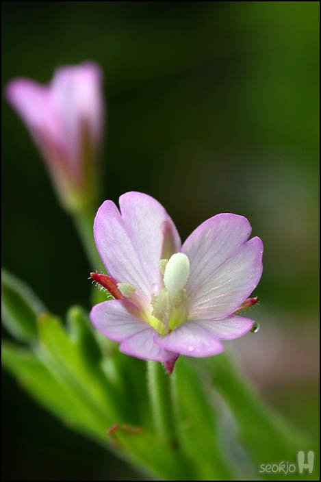 DSCN1654.jpg
