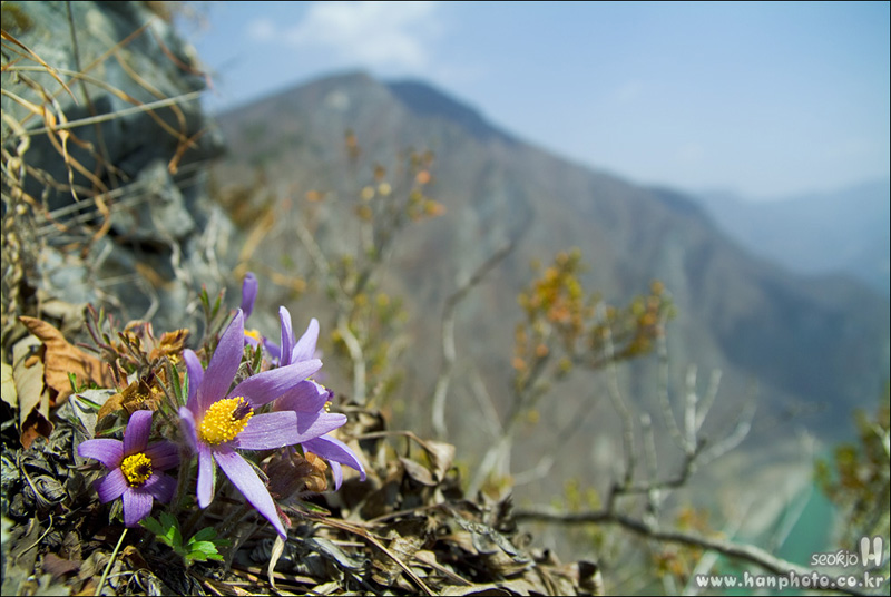 DSCF2837.jpg