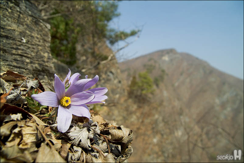 DSCF2854.jpg