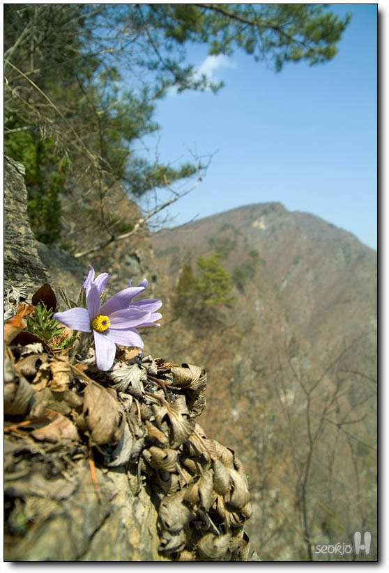DSCF2855.jpg