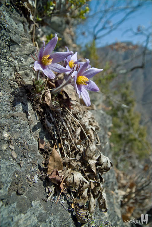 DSCF7363.jpg