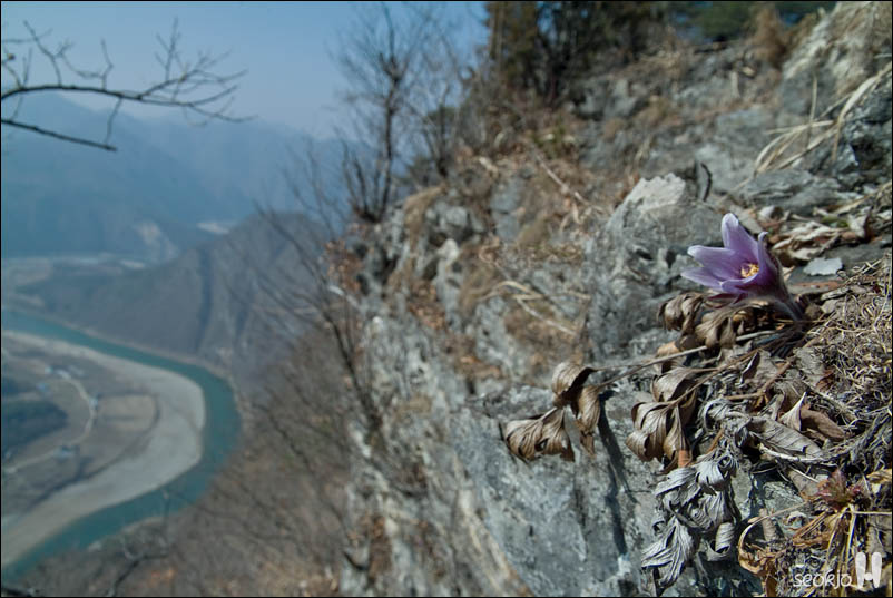 DSCF7323.jpg
