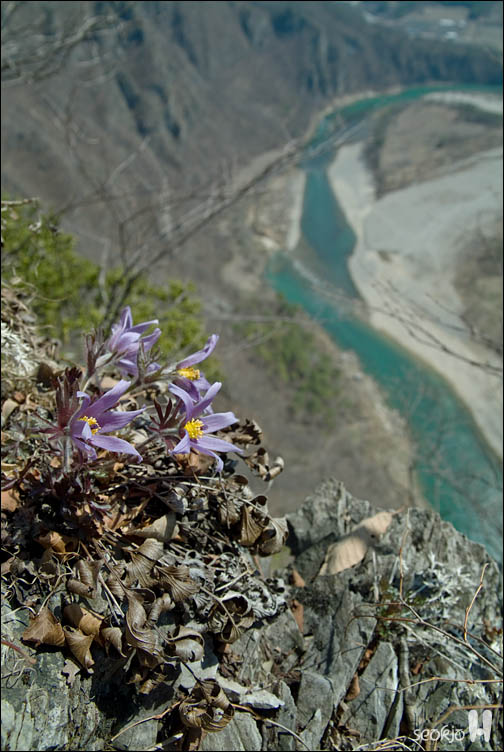DSCF7381.jpg