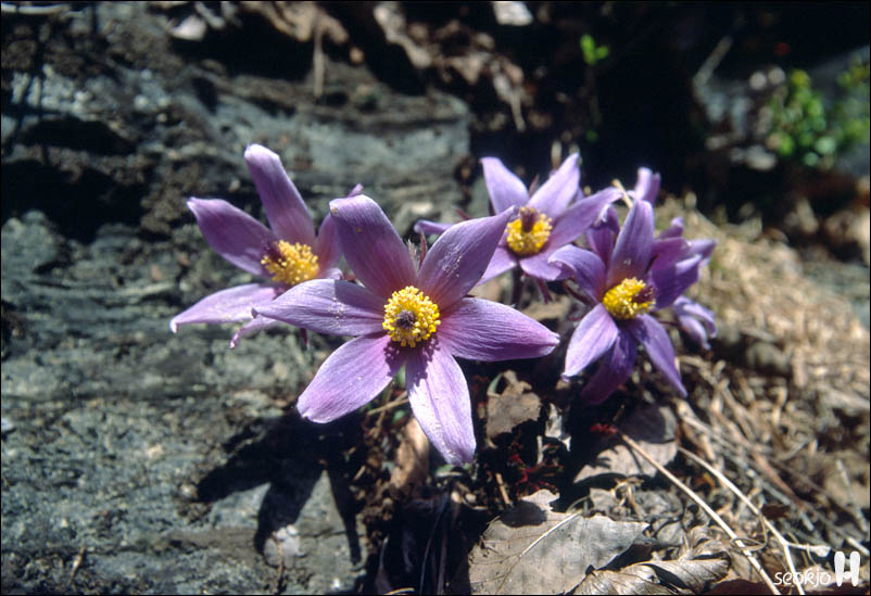 080409_0021.jpg