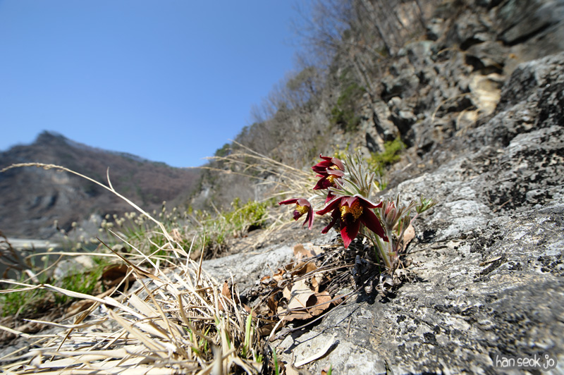 HSJ_3319.jpg