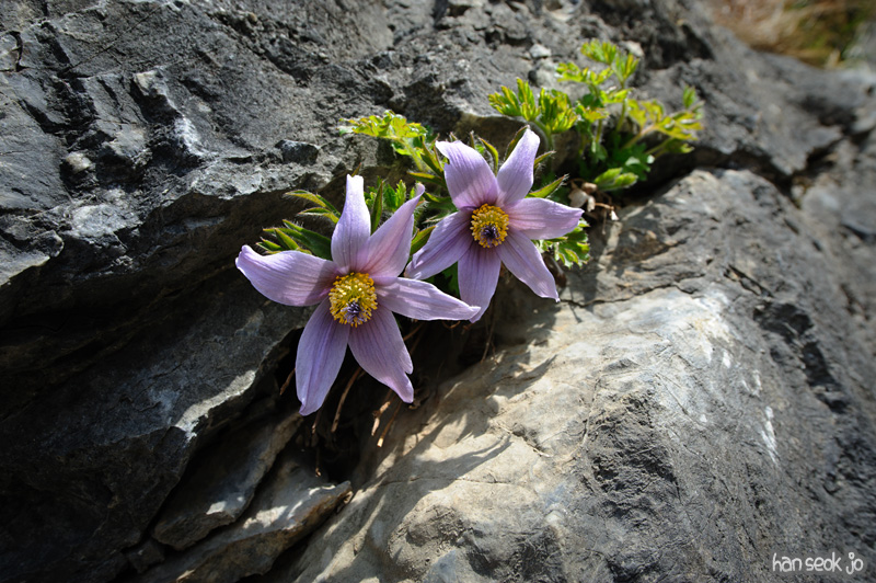 HSJ_8746.jpg