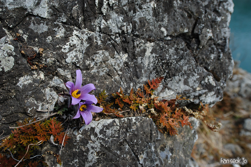 HSJ_8597.jpg