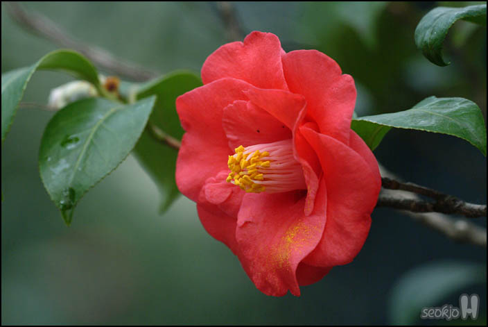 DSCF1338.jpg