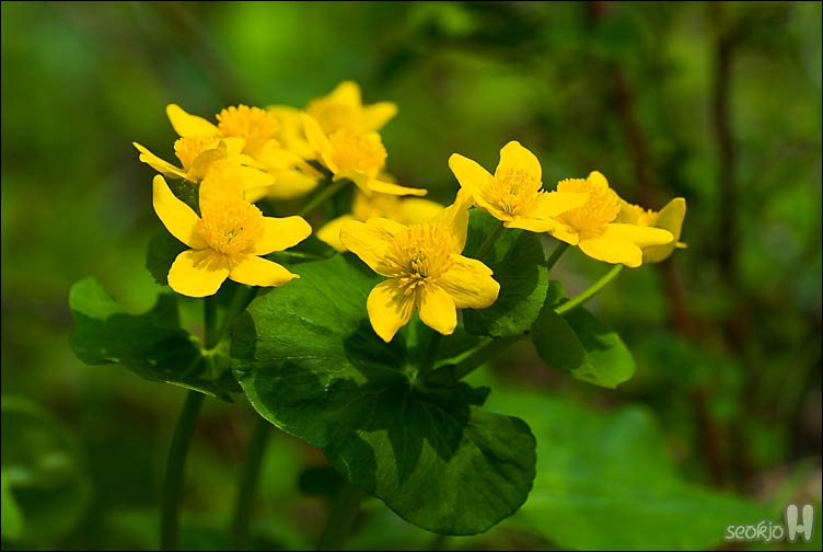 DSCF8271.jpg