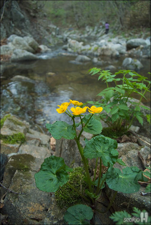 DSCF0378.jpg