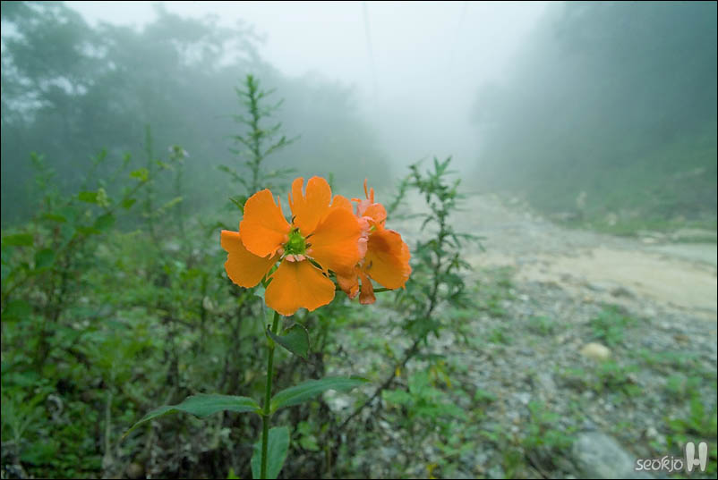 DSCF4872.jpg