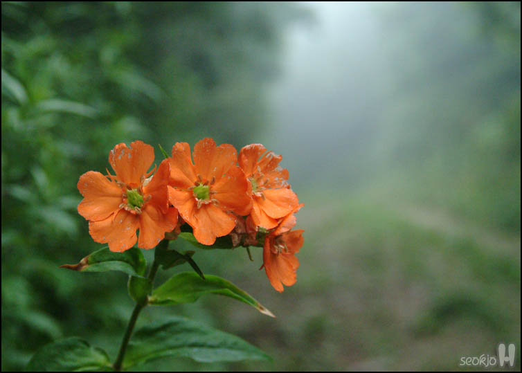 DSCF1364.jpg