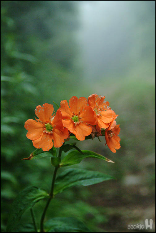 DSCF1365.jpg