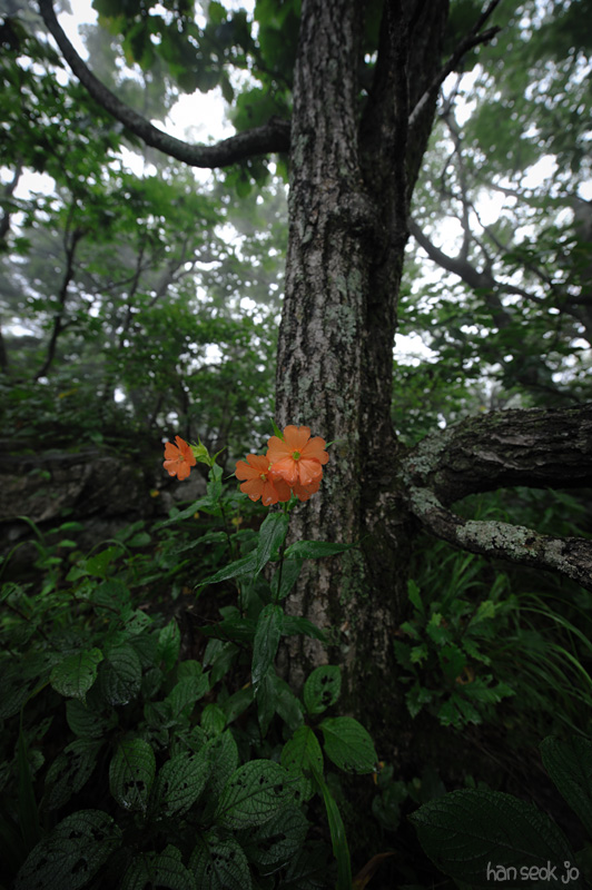 HSJ_4446.jpg
