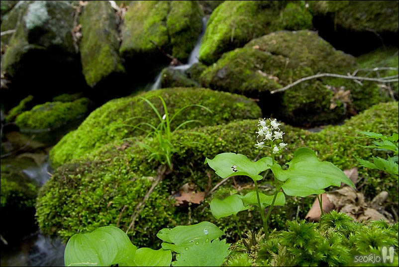 DSCF3967.jpg