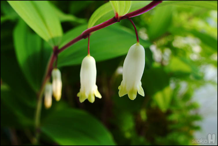 DSCF1661.jpg
