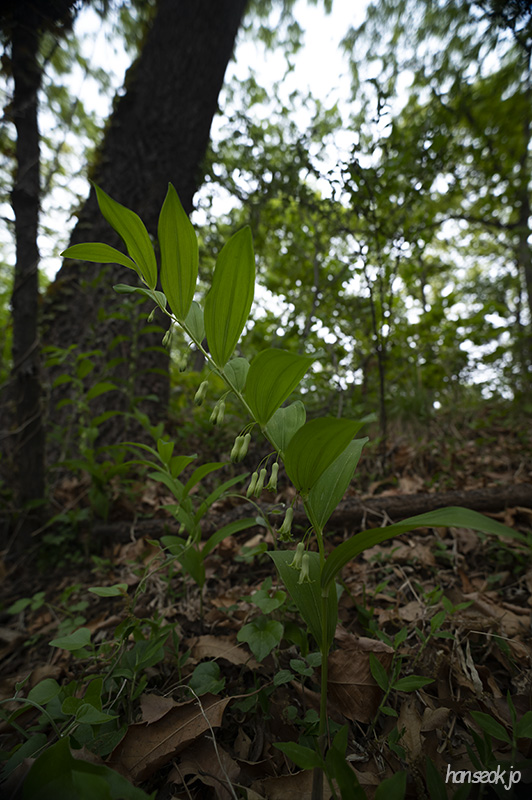 DSC_5050.jpg