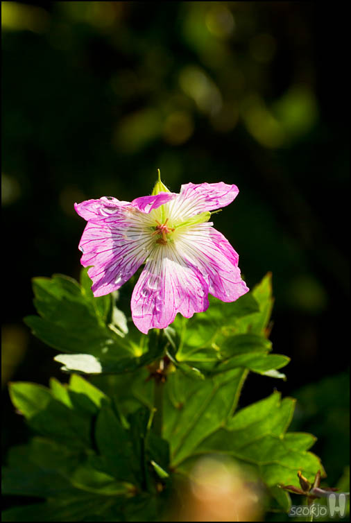 DSCF3872.jpg