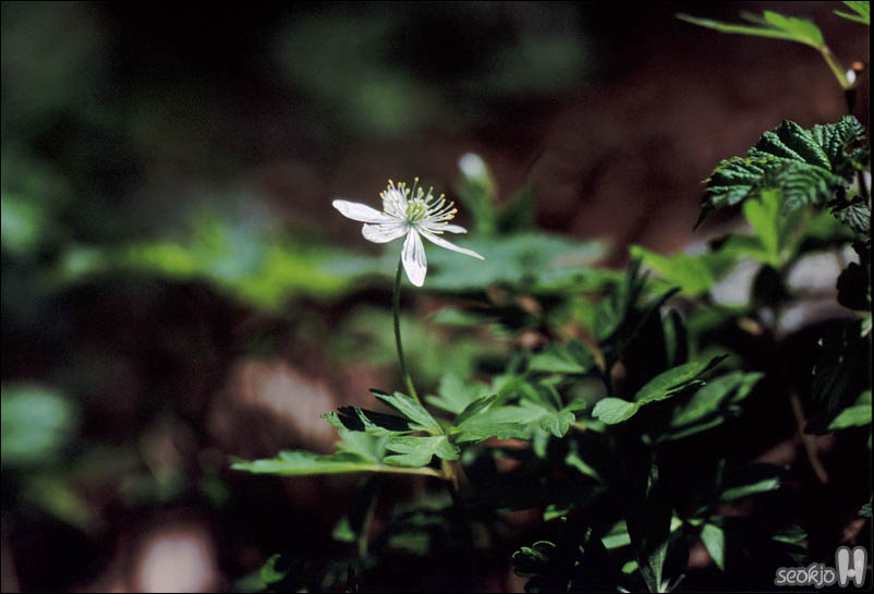 070512f.jpg