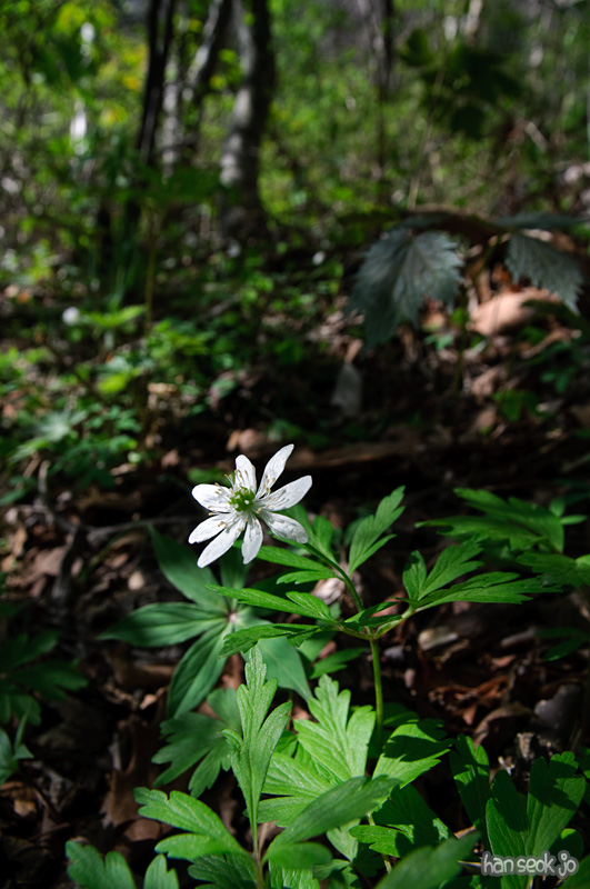 DSC_6327.jpg