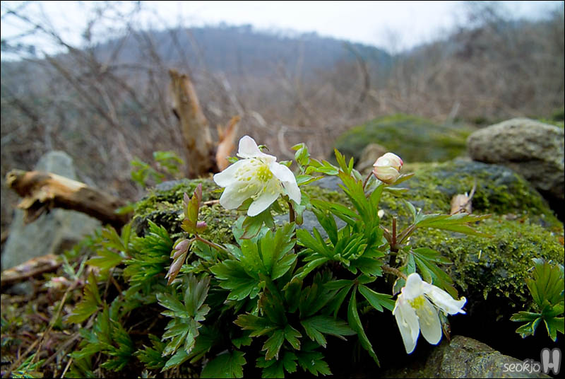DSCF2774.jpg