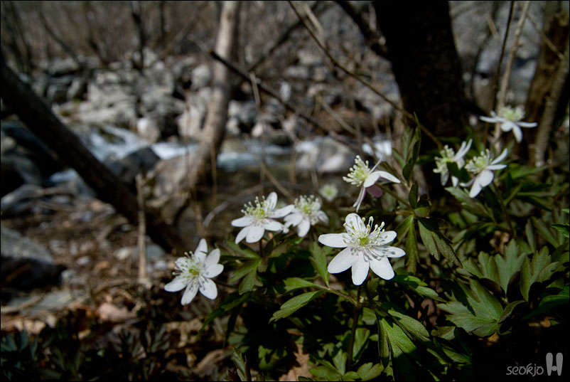 DSCF7804.jpg