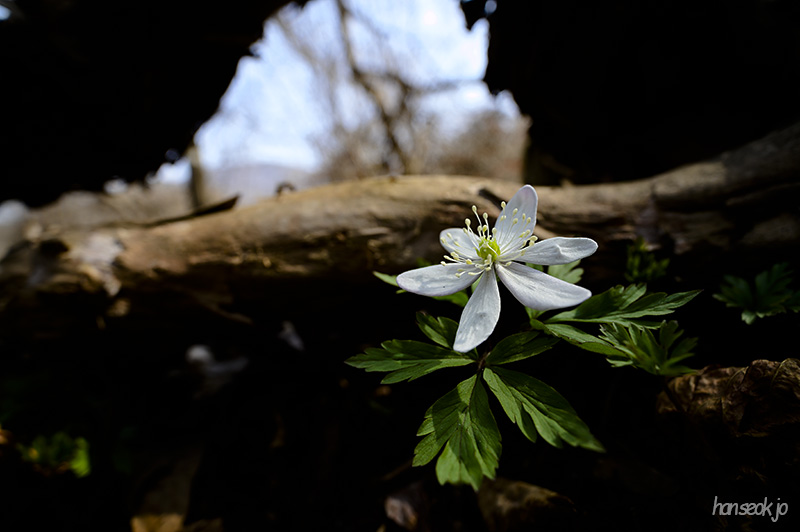 DSC_1739.jpg