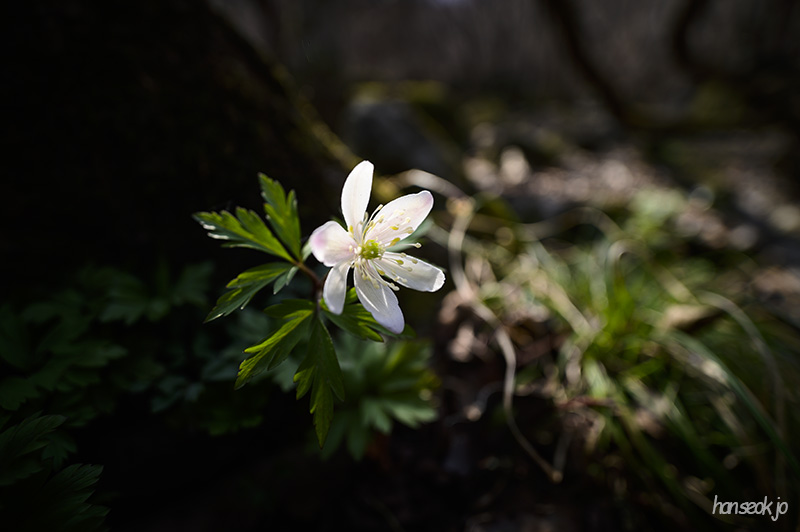 DSC_1706.jpg