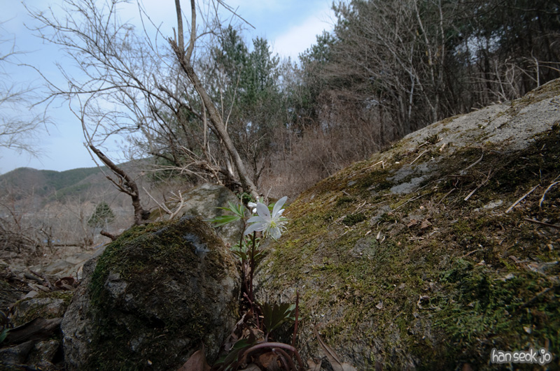 DSC_5449.jpg