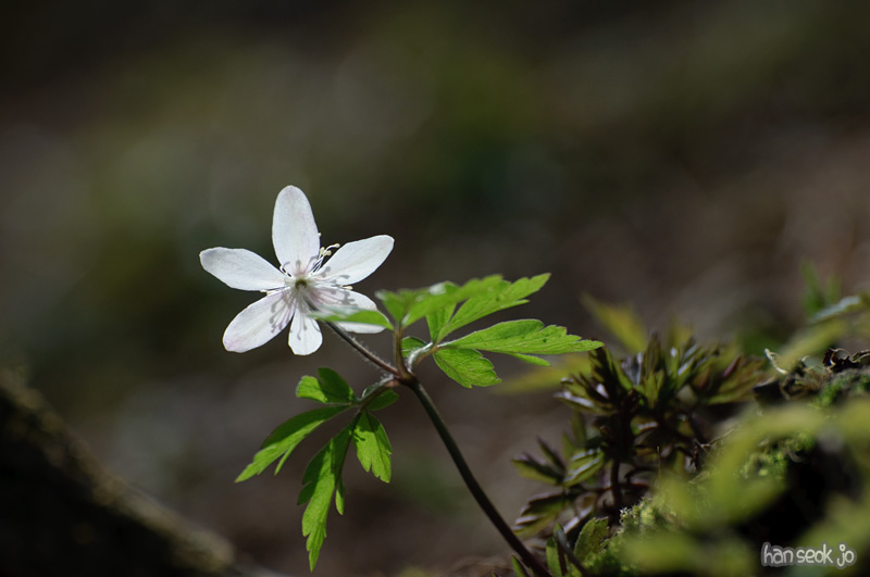 DSC_5416.jpg
