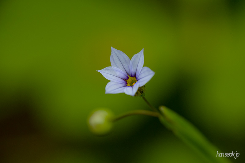 DSC_5191.jpg