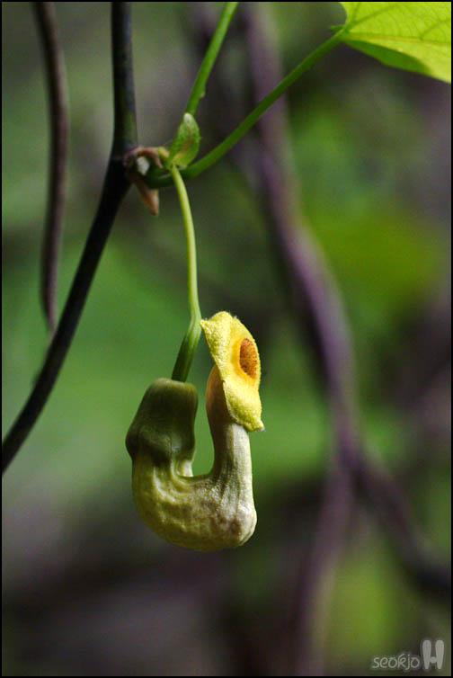 DSCF1095.jpg